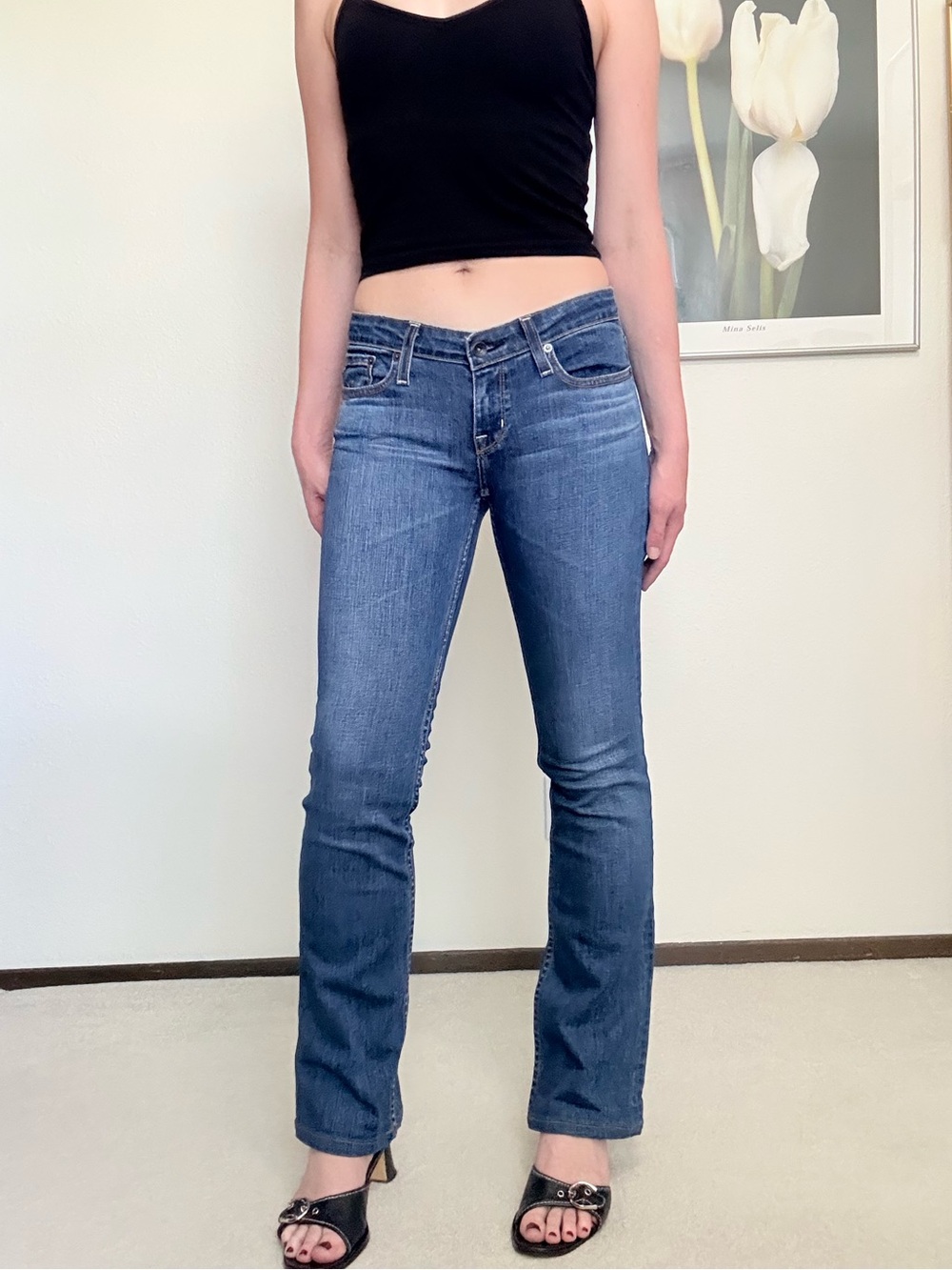 Y2K Big Star Low Rise Bootcut Jeans Indie Mcbling Western